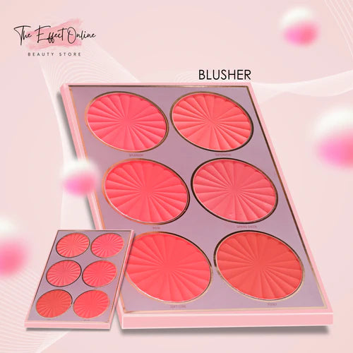 5 Pages Book Palette