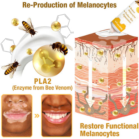 Revitalizing Bee Venom Cream – Natural Skin Restoration & Vitality