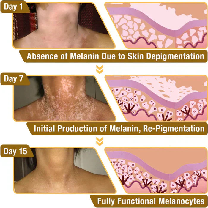 Revitalizing Bee Venom Cream – Natural Skin Restoration & Vitality