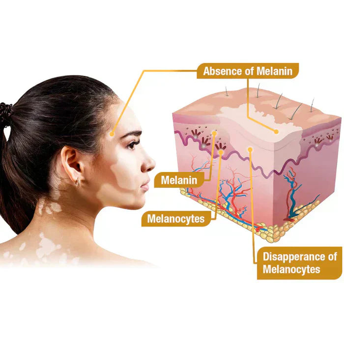 Revitalizing Bee Venom Cream – Natural Skin Restoration & Vitality